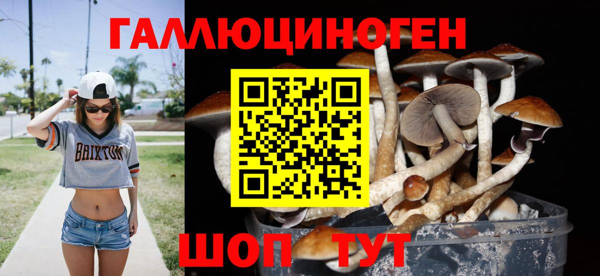 Королёв  цены   Вход с VPN  Галлюциногенные грибы MAGIC MUSHROOMS 